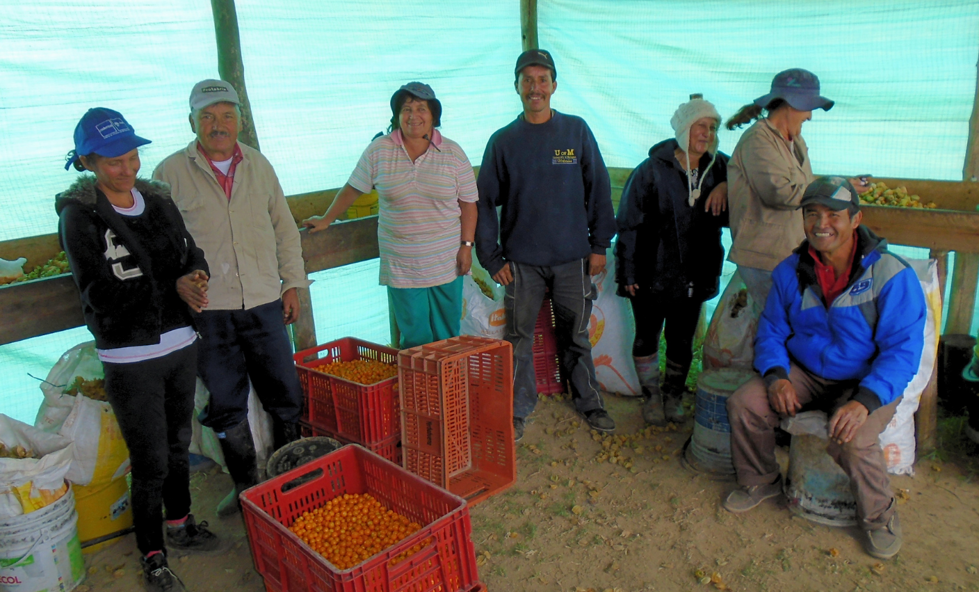 About Us - Pure Terra Foods